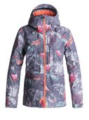 L17 ESSENCE 2L GORE-TEX JKT