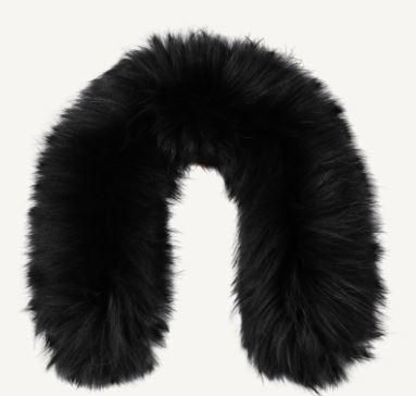 Pedigree Ski Shop Bogner Of America U22 Nurea Finnraccoon