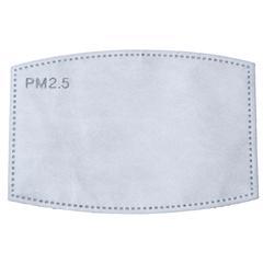 PM2.5 ACTIVATED CARBON FILTER